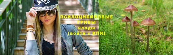 ПСИЛОЦИБИНОВЫЕ ГРИБЫ Ростов