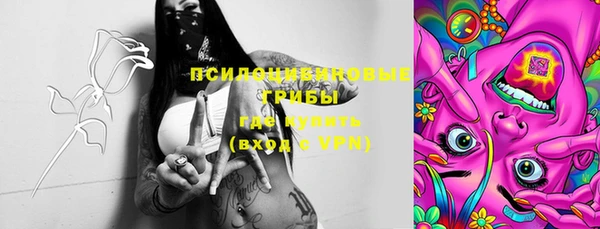 спиды Россошь